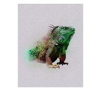 Komar Cuadro de pared | Animals Paradise Iguana | Póster, imagen, sala de estar, dormitorio, decoración, impresión artística | sin marco | P083C-40x50 | Tamaño: 40 x 50 cm (ancho x alto)
