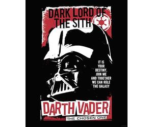 Komar Cuadro de pared de Star Wars Darth Vader The Chosen One - Tamaño 40 x 50 cm - Decoración para habitación infantil