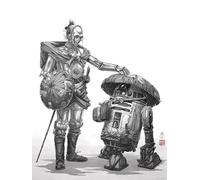 Komar Cuadro de pared de Star Wars Vision Samurai Droids - Tamaño 30 x 40 cm - Póster, habitación infantil, decoración - enrollado sin marco, blanco y negro
