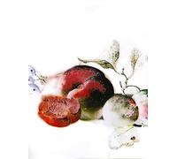 Komar Cuadro decorativo para pared (30 x 40 cm), diseño de postre
