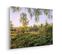 Komar Cuadro en bastidor de madera real - noche de verano - Tamaño 60 x 40 cm - Cuadro en lienzo - Paisaje - Salón - Dormitorio