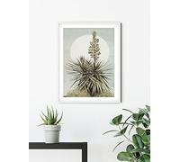 Komar Cuadros de Plans de Lagon - Tamaño: 40 x 50 cm - Póster, impresión artística, decoración de salón o dormitorio (sin marco)