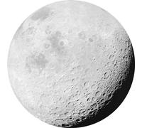 Komar D1-020 Papel Pintado fotográfico Redondo y Autoadhesivo, Negro, Blanco, 0W x 0.5L m