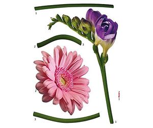 Komar Deco de pegatinas pared decorativas Fiore, 1 pieza, color rosalilaverde, 18887h
