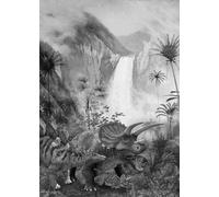 Komar Dino IAX4-0020 - Papel pintado fotográfico (200 x 280 cm (ancho x alto)