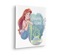 Komar Disney Ariel Curious & Kind - Cuadro con bastidor (40 x 40 cm), diseño de Ariel Curious