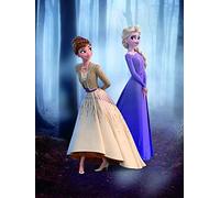 Komar Disney - Cuadro de Pared con diseño de Frozen Wood Walk (sin Marco, Disponible en Tres tamaños), carbón, WB065-30x40