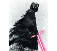 Komar EP9 Kylo Vader Shadow - Cuadro de Pared (no Incluye Marco, 3 tamaños), diseño de Star Wars, carbón, WB173-30x40