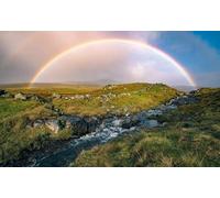 Komar HX10-001 - Póster, SHX9-017