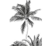 Komar IAX4-0011 - Papel pintado fotográfico (200 x 280 cm (ancho x alto)