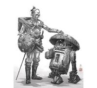 Komar Mural de pared de Star Wars Vision Samurai Droids - Tamaño 40 x 50 cm - Decoración para habitación infantil
