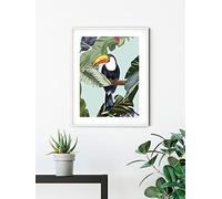 Komar Mural de pared Toco Toucan - Tamaño: 50 x 70 cm - Póster, impresión artística, decoración de salón o dormitorio (sin marco)