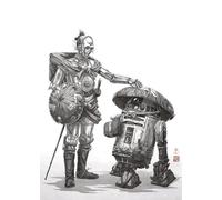 Komar Mural de Star Wars Vision Samurai Droids - Tamaño 50 x 70 cm - Decoración de pared para habitación infantil