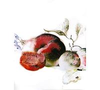 Komar Mural decorativo para pared (40 x 50 cm), diseño de postre