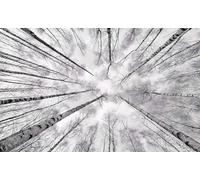 Komar Papel pintado fotográfico blanco y azul | Papel pintado XXL, decoración, naturaleza, paisaje, dormitorio, salón, oficina, pasillo | Tamaño 450 x 280 cm (ancho x alto) | SHX9-093, multicolor