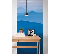 Komar Papel pintado fotográfico de fieltro, 100 x 250 cm (ancho x alto), papel pintado para dormitorio, salón, pasillo, diseño, decoración, decoración de pared,