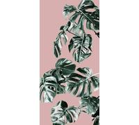Komar Papel pintado fotográfico de fieltro Monstera Rosé Panel, tamaño 100 x 250 cm (ancho x alto) - Papel pintado para salón, dormitorio, oficina, pasillo, decoración mural - P016A-VD1