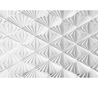 Komar Papel pintado fotográfico Delta de alta calidad, tamaño 368 x 254 cm (ancho x alto), 8 piezas, incluye pegamento, fabricado en Alemania, color negro y blanco