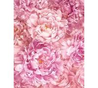 Komar Papel pintado fotográfico no tejido, tamaño 200 x 250 cm (ancho x alto) - Papel pintado para salón, dormitorio, flores, color rosa, oficina, pasillo, decoración mural - P009-VD2
