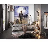 Komar Papel Pintado Star Wars Rey, Vinilo, Multicolor, 184x0.2x254 cm, 4