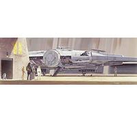 Komar Star Wars 4-4112 - Papel pintado fotográfico (368 x 127 cm), diseño de Star Wars 9, Skywalker