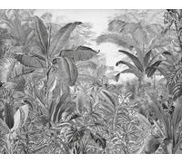 Komar Roraima IAX7-0003 - Papel pintado fotográfico (350 x 280 cm (ancho x alto)