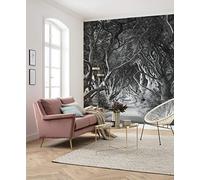 Komar SHX5-033 SHX5-033-Papel Pintado, XXL, decoración, Naturaleza, Paisaje, Dormitorio, salón, Oficina, Pasillo, tamaño 250 x 280 cm (Ancho x Altura), Fantasía