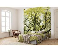 Komar SHX6-020 SHX6-020-Papel Pintado fotográfico (300 x 280 cm), diseño de árbol de ensueño, Fantasía