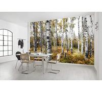 Komar SHX9-015 Colorful Aspenwoods-Papel Pintado, XXL, decoración, Paisaje, Dormitorio, salón, Oficina, Pasillo, tamaño 450 x 280 cm (Ancho x Alto), Fantasía, 4.5W x 2.8L m