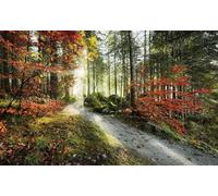 Komar SHX9-031 - Papel pintado fotográfico (fieltro, XXL, decoración, paisaje, dormitorio, salón, oficina, pasillo, 450 x 280 cm), multicolor