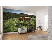 Komar SHX9-051 - Papel pintado fotográfico de vellón, XXL, decoración, naturaleza, paisaje, dormitorio, salón, oficina, pasillo, tamaño 450 x 280 cm (ancho x alto), multicolor