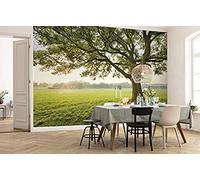 Komar SHX9-086 SHX9-086-Papel Pintado, XXL, decoración, Paisaje, Dormitorio, salón, Oficina, Pasillo, tamaño 450 x 280 cm (Ancho x Alto), Fantasía, 4.5W x 2.8L m