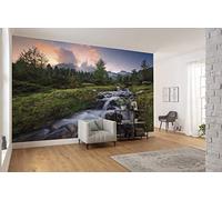 Komar SHX9-096 WILD Paradise - Papel pintado fotográfico (fieltro, XXL, decoración, paisaje, dormitorio, salón, oficina, pasillo, 450 x 280 cm), multicolor