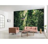 Komar SHX9-114 - Papel pintado fotográfico (napa, tamaño XXL, 450 x 280 cm), diseño de hojas verdes, multicolor