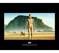Komar Star Wars Classic RMQ Droids - Cuadro de Pared (no Incluye Marco), diseño de Star Wars, carbón, WB135-50x40