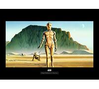 Komar Star Wars Classic RMQ Droids - Cuadro de Pared (no Incluye Marco), diseño de Star Wars, carbón, WB135-70x50