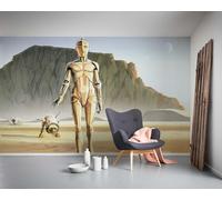 Komar Star Wars - Papel pintado fotográfico (fieltro, 500 x 250 cm, ancho 50 cm), color amarillo y marrón