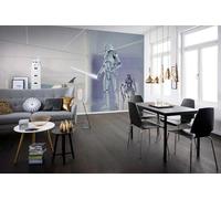 Komar Star Wars - Papel pintado fotográfico (fieltro, 500 x 250 cm, ancho 50 cm), color gris y negro