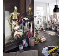 'Komar "Star Wars Three Droids, 1 pieza, multicolor, sd447