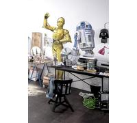 Komar Star Wars XXL C 3PO - Papel pintado fotográfico autoadhesivo y cortado por contorno, 127 x 200 cm, diseño de Star Wars