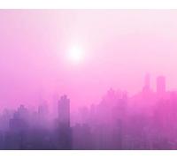 Komar Wandbild Von City Dusk | Poster, Bild, Wohnzimmer, Schlafzimmer, Dekoration, Kunstdruck | ohne Rahmen | P118-50x40 fotomural, Pink, Rosa, Schwarz