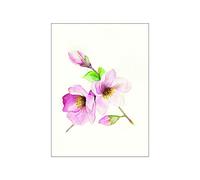 Komar Wandbild Von Magnolia Breathe | Poster, Bild, Wohnzimmer, Schlafzimmer, Dekoration, Kunstdruck | ohne Rahmen | P073A-40x50 fotomural, Rosa, Grün, Weiß