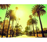 Komar Wandbild Von Palm Alley | Poster, Bild, Wohnzimmer, Schlafzimmer, Dekoration, Kunstdruck | ohne Rahmen | P127-70x50 fotomural, Gelb, Braun, Bunt