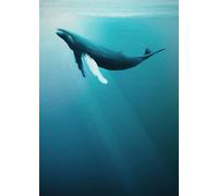 Komar WTD IAX4-0045 - Papel pintado fotográfico (200 x 280 cm (ancho x alto)
