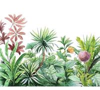 Komar WTD IAX6-0007 - Papel pintado fotográfico para habitación infantil (300 x 250 cm), diseño de terreno