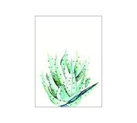 Komar WTD P070C-P070C-P070C-40x50cm - Póster de Acuarelas para Pared (40 x 50 cm, 40 x 50 cm)