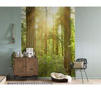 Komar X4-044 Fotomural, Verde, Azul, Amarillo, 200 x 260 cm (Breite x Höhe)