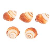 KOMBIUDA 5 Conchas de Caracol Naturales para Hornear Caracoles, Resistentes al Horno Microondas, Superficie Lisa sin Rebabas, Ideales para Restaurantes y Uso Doméstico