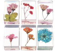 KOMBIUDA 6 piezas Pisapapeles de Resina con Flores Secas de Especímenes de Ámbar Floral Portátiles para Enseñanza y Decoración Diseño Artesanal Único Estilos Aleatorios
