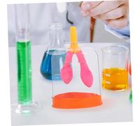 KOMBIUDA Educativo de Pulmón para Enseñanza Respiratoria con Simulador de Movimiento Diafragmático Instrumento Científico Compacto para Experimentos y Estudio Biológico